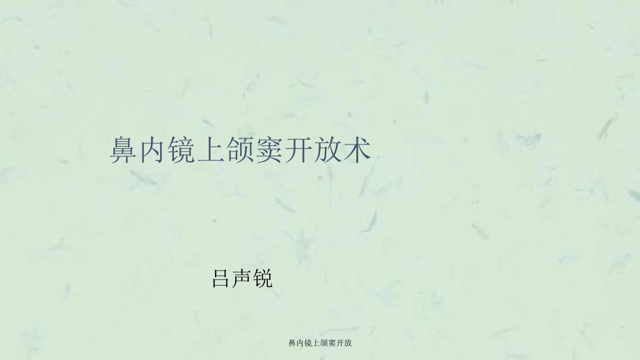 鼻内镜上颌窦开放课件.ppt_第1页