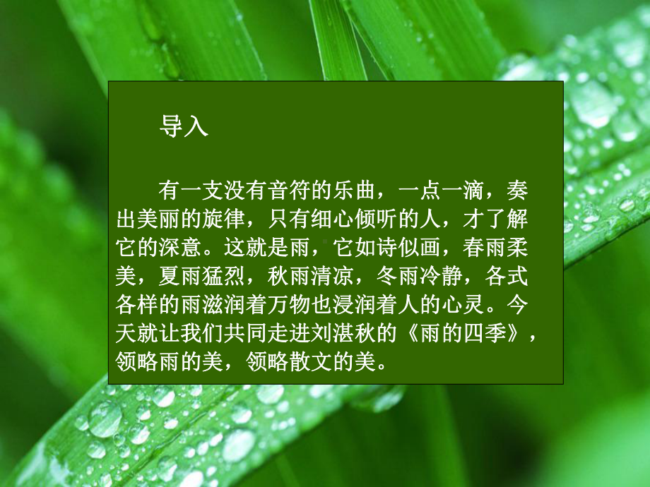 雨的四季概要课件.ppt_第3页