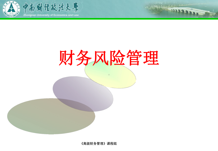 财务风险管理课件.ppt_第1页