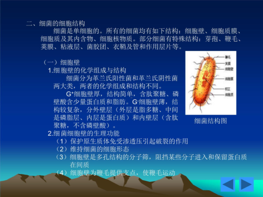 第二章-原核为微生物-课件.ppt_第3页