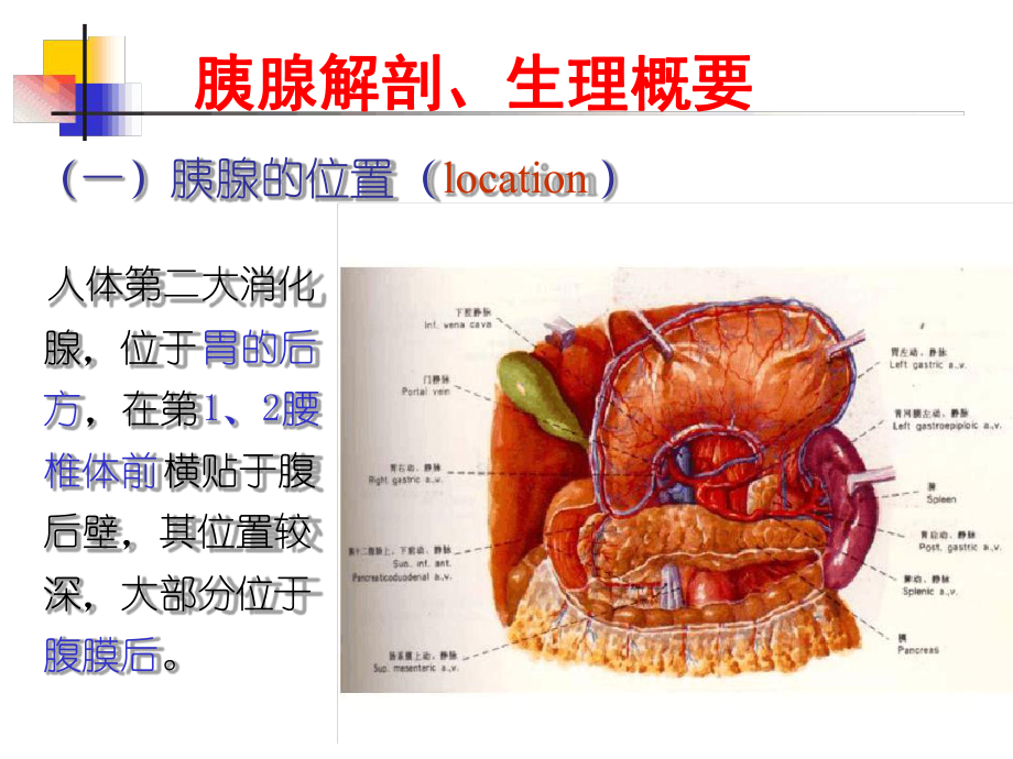 胰腺疾病病人的护理-1课件.ppt_第2页