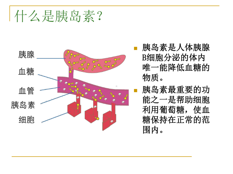 胰岛素的正确使用及注意事项课件.ppt_第3页