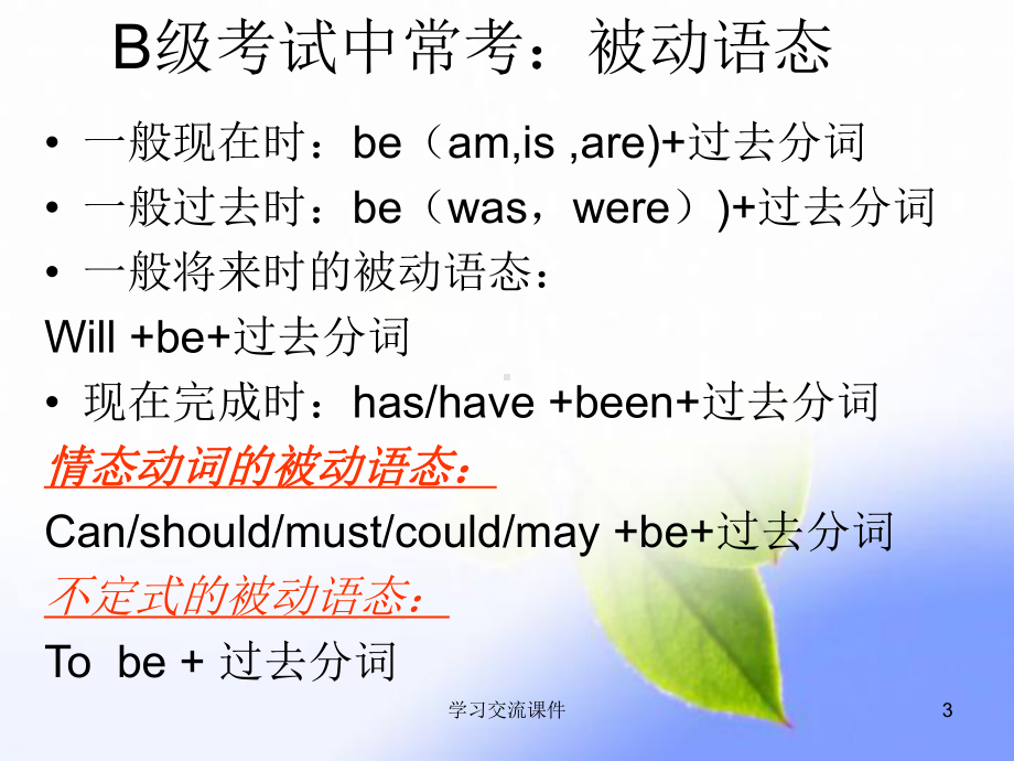 英语B级考试语法(课件).ppt_第3页