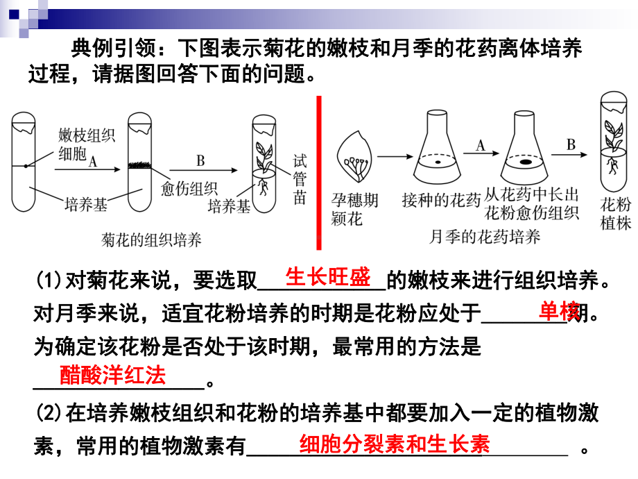 选一考点2、3植物组织培养和有效成分的提取方案.ppt_第2页