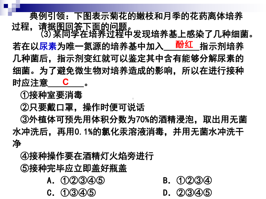 选一考点2、3植物组织培养和有效成分的提取方案.ppt_第3页