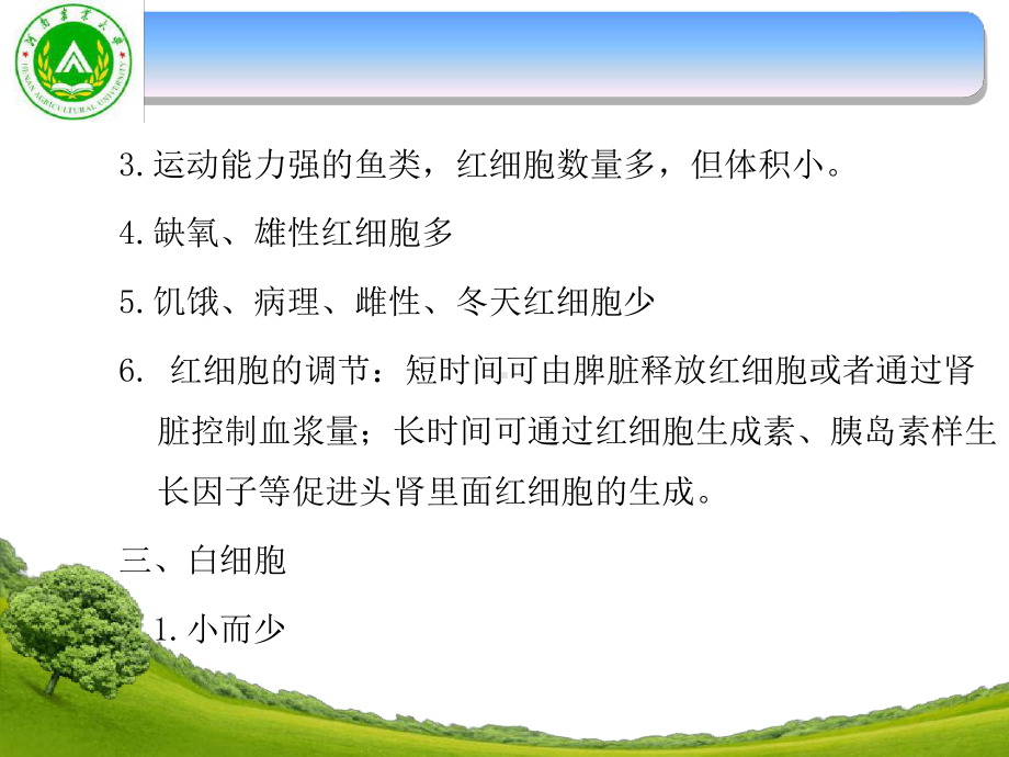 血液和血液循环课件.ppt_第3页