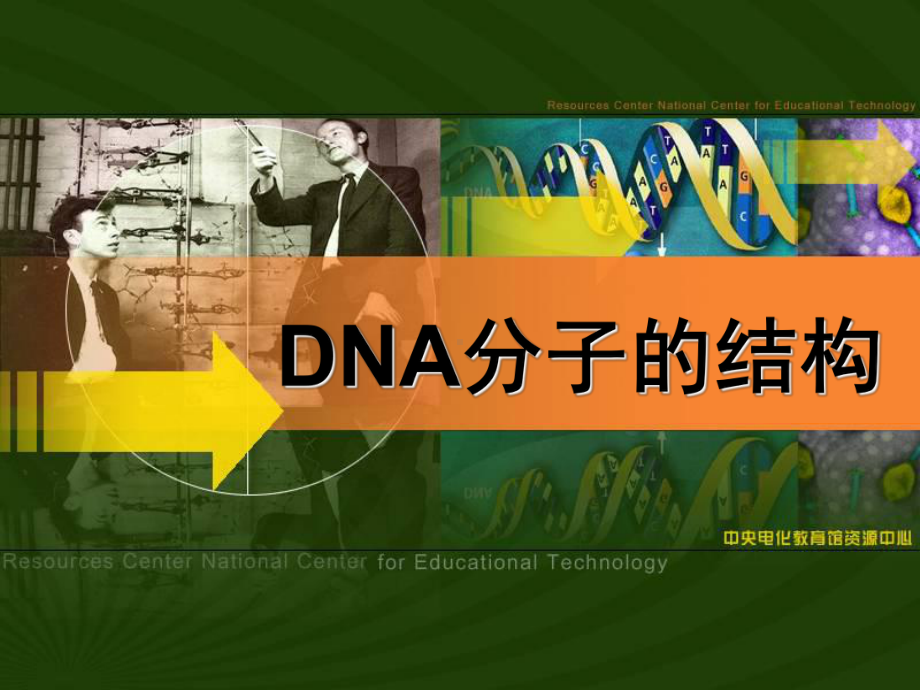 第二节DNA分子结构课件.ppt_第1页