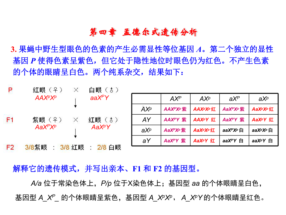 遗传学-第二版-课后答案1~8章课件.ppt_第3页