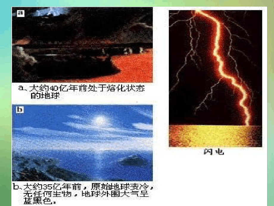 苏科版生物八年级下册生命的起源课件.ppt_第3页