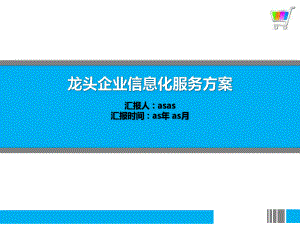 龙头企业信息化服务方案精美模板课件.pptx