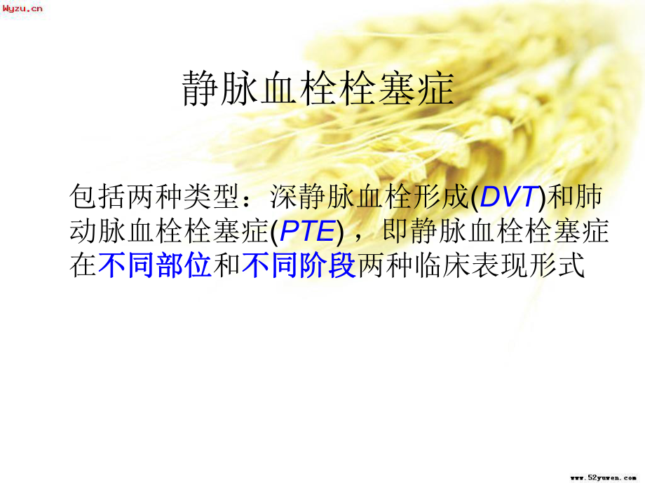 骨盆骨折并发症栓塞的护理-课件.ppt_第3页