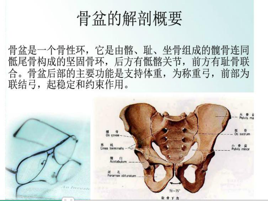 骨盆骨折个案护理课件.pptx_第1页