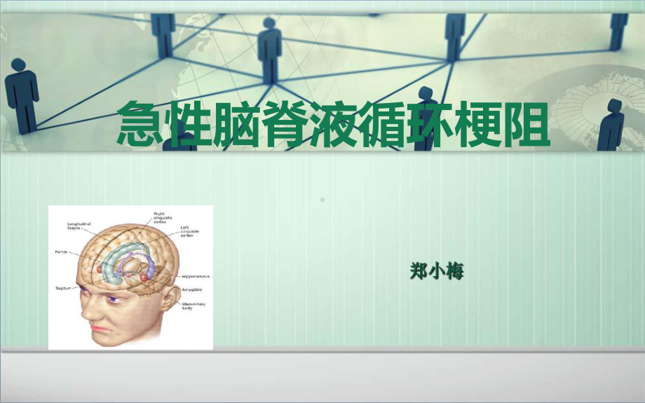 脑室系统与脑脊液循环课件.ppt_第1页