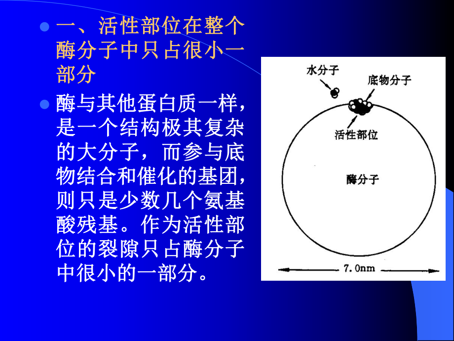 酶的催化机制课件.ppt_第3页