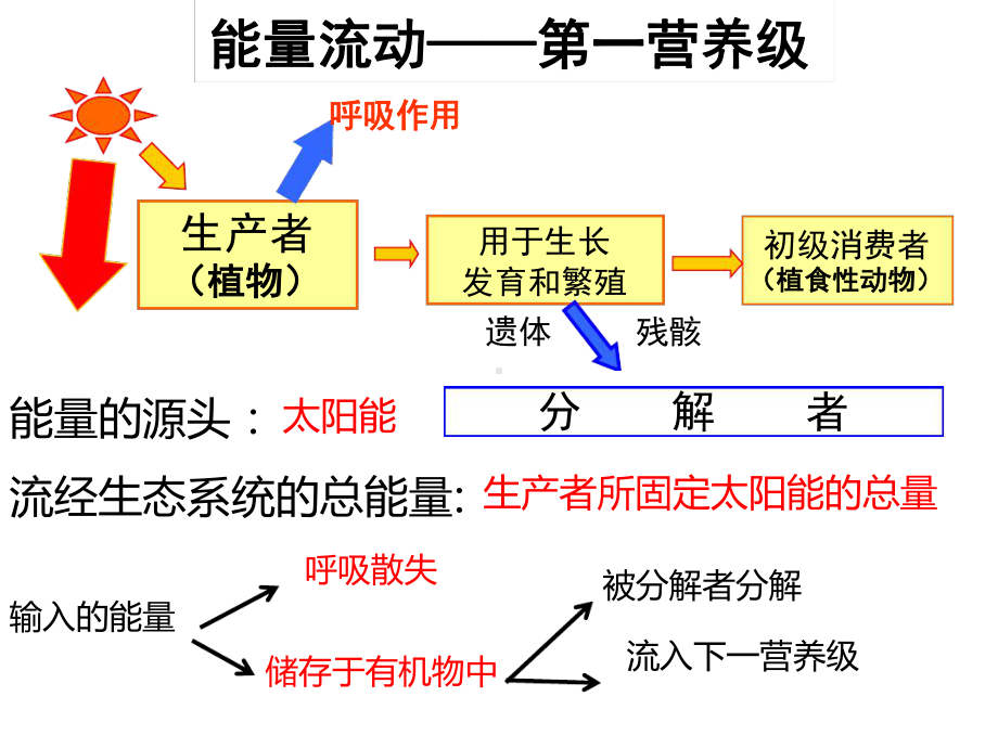 生态系统的能量流动一轮复习课件.ppt_第3页