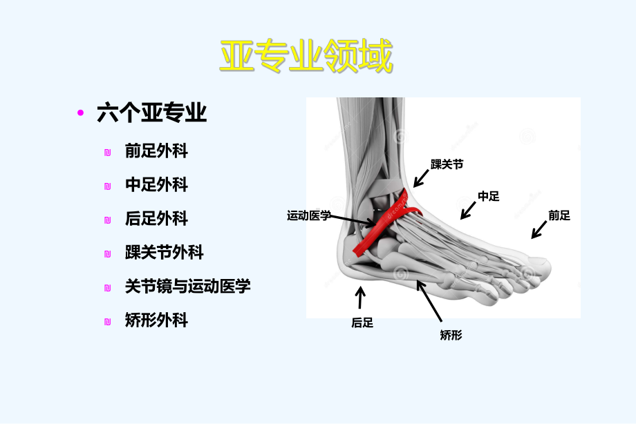 足踝外科热点及问题课件.ppt_第2页