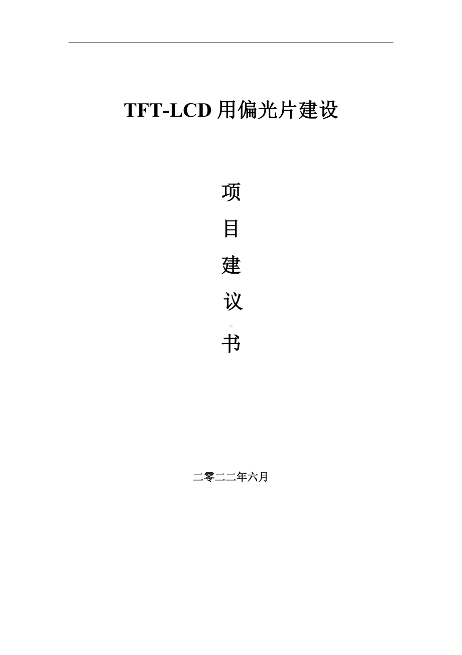 TFT-LCD用偏光片项目建议书（写作模板）.doc_第1页