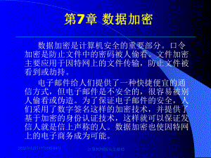 计算机网络安全基础第7章课件.ppt