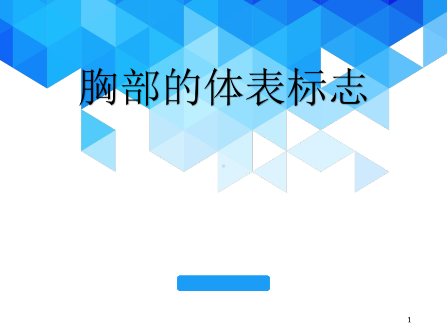 胸部的体表标志医学课件.ppt_第1页