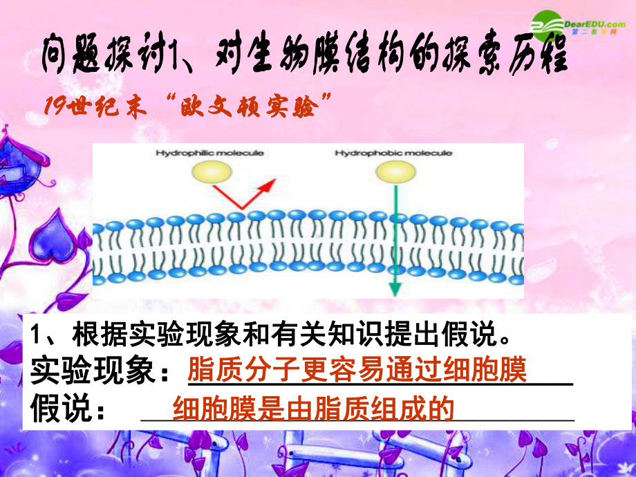 高中生物生物膜的流动镶嵌模型课件新人教版必修1.ppt_第3页