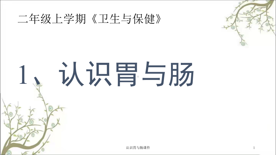 认识胃与肠课件.ppt_第1页