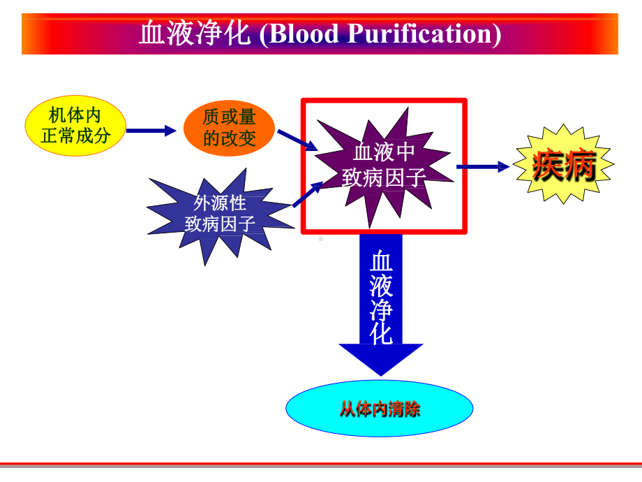 蛋白A免疫吸附的原理以及在肾病风湿性疾病的临床应用课件.pptx_第3页