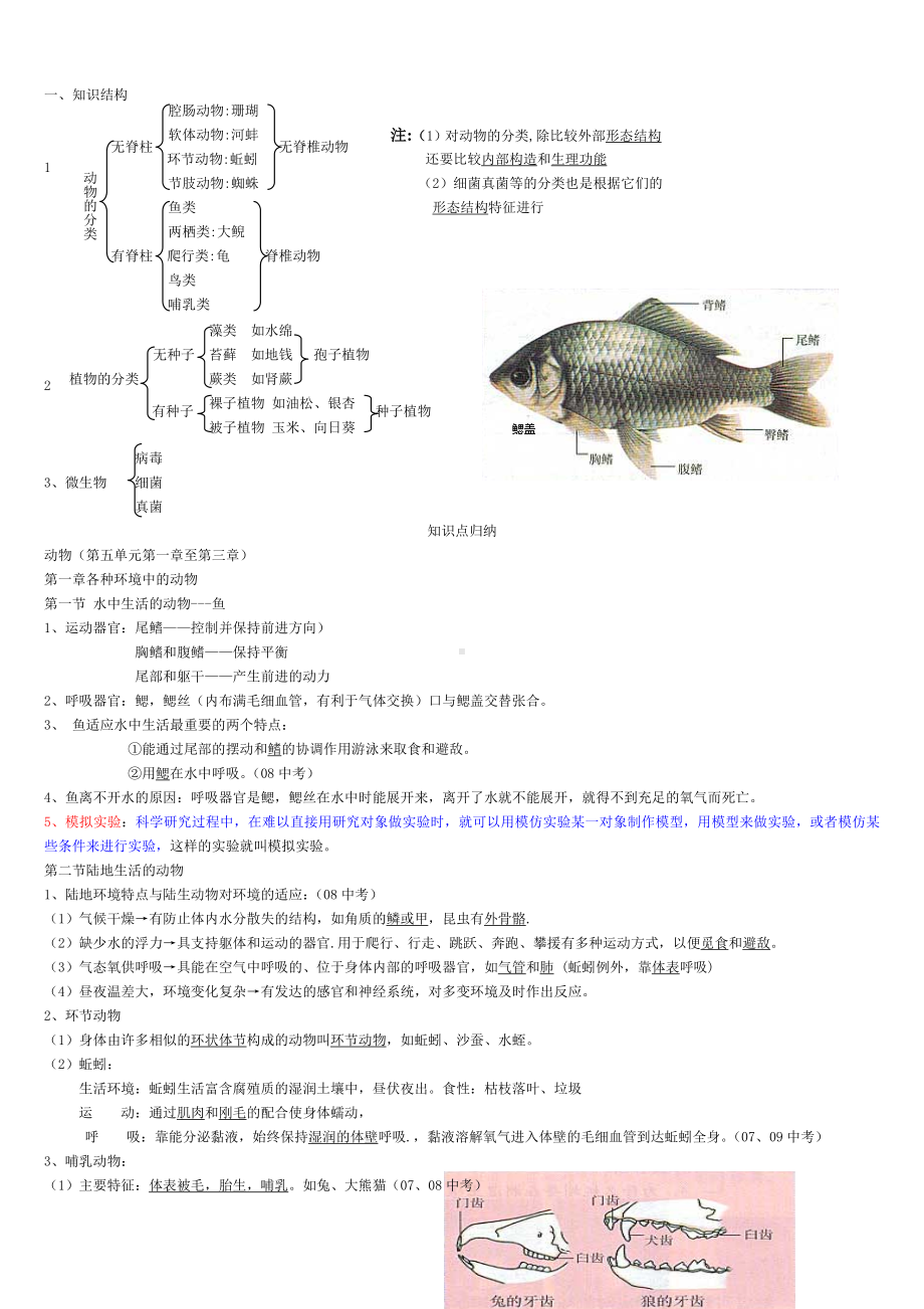 人教版八年级生物上下册知识点总结(全面).doc_第1页