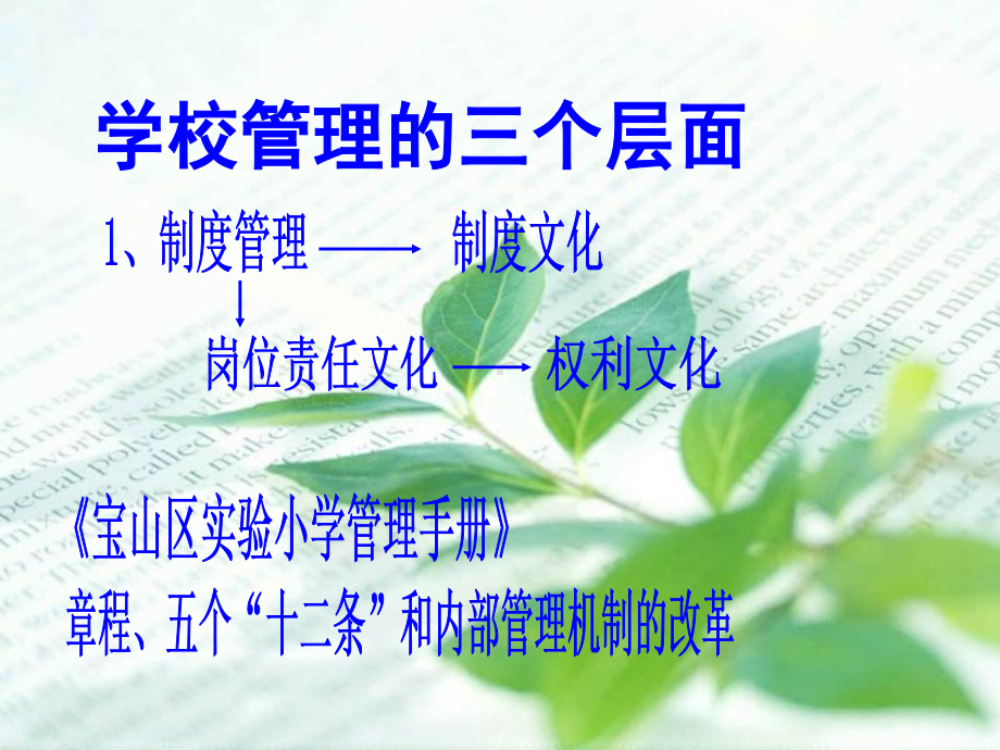 课程整合必修课程校本课程德育浸润社会实践课程建构学校完成课件.ppt_第3页