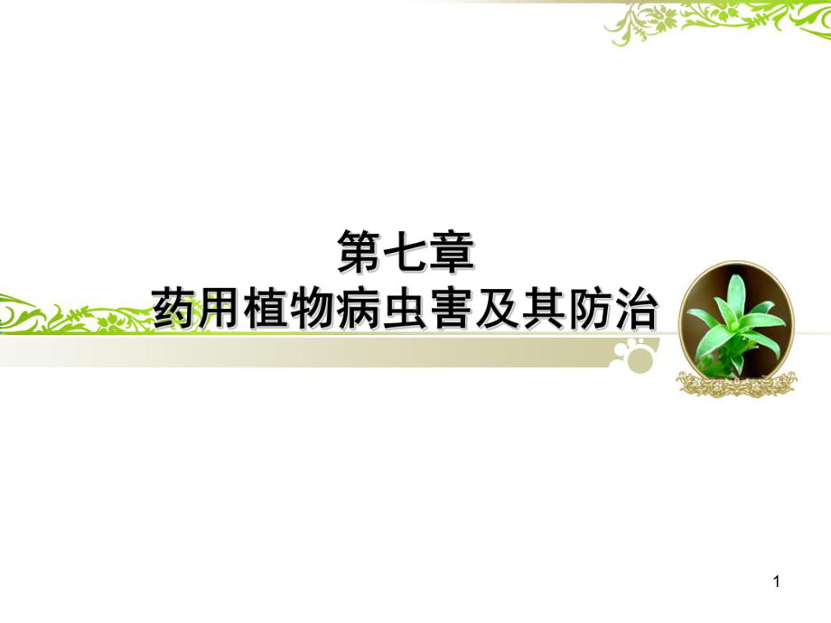 药用植物病虫害防治教学课件.ppt_第1页