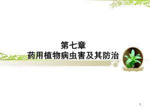 药用植物病虫害防治教学课件.ppt