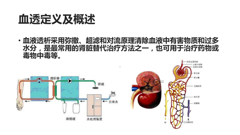 血透护士学习小结课件.pptx_第2页