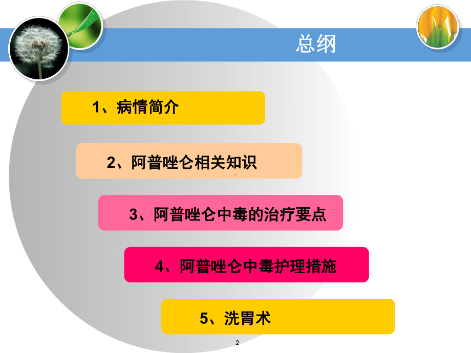 阿普唑仑中毒护理查房1教学课件.ppt_第2页