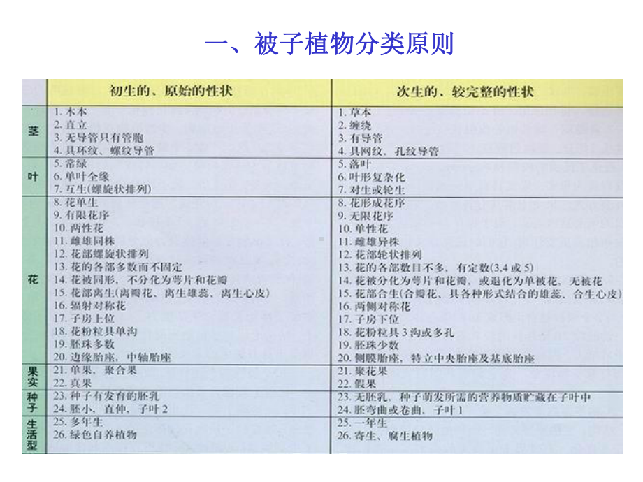 被子植物分类学课件.ppt_第2页