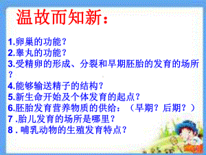 遗传的物质基础济南版课件.ppt