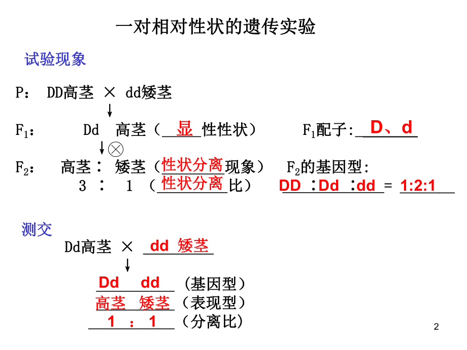 高中生物必修二会考知识点详细总结课件.ppt_第2页