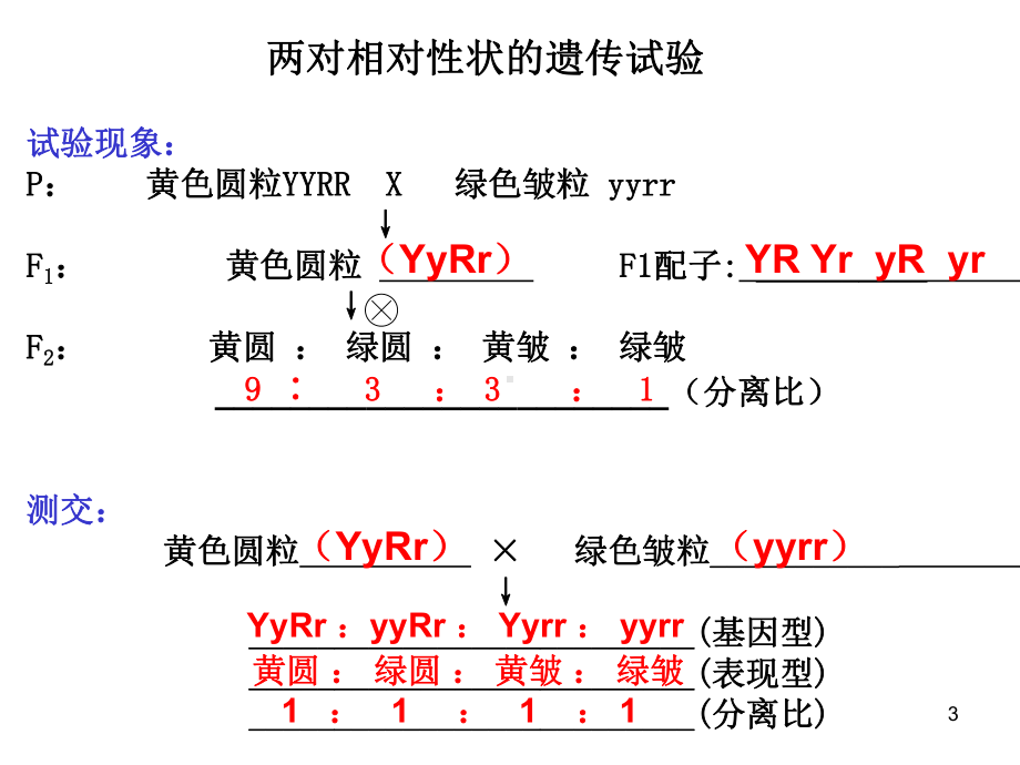 高中生物必修二会考知识点详细总结课件.ppt_第3页