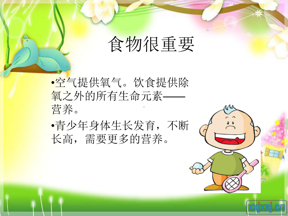 饮食营养科普讲座-小学生饮食指南课件.ppt_第2页