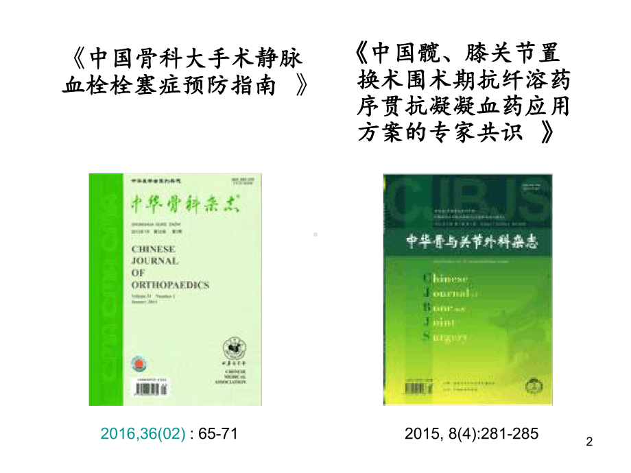 骨科大手术围术期静脉血栓栓塞症预防指南参考教学课件.ppt_第2页