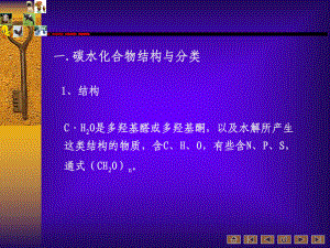 动物营养与饲料学课件-.ppt