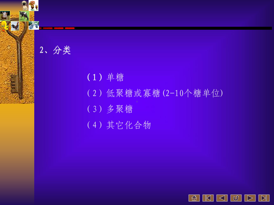 动物营养与饲料学课件-.ppt_第2页