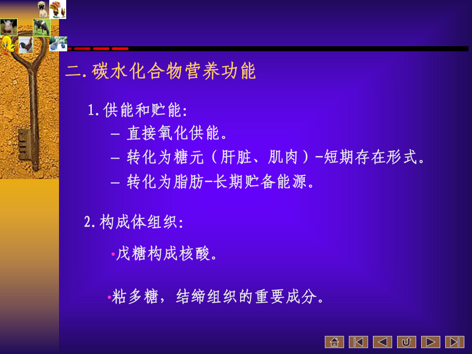 动物营养与饲料学课件-.ppt_第3页