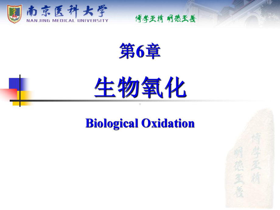 生物化学课件-生物氧化.ppt_第1页