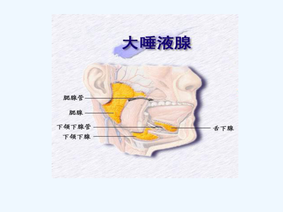 腮腺肿瘤护理查房课件.ppt_第3页