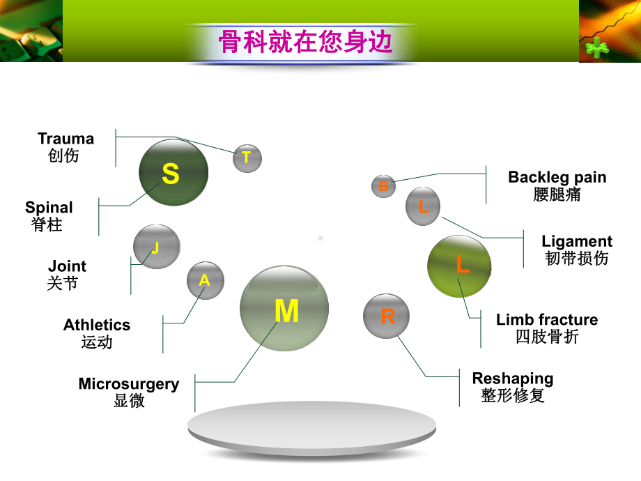 骨折概论预防课件.ppt_第2页