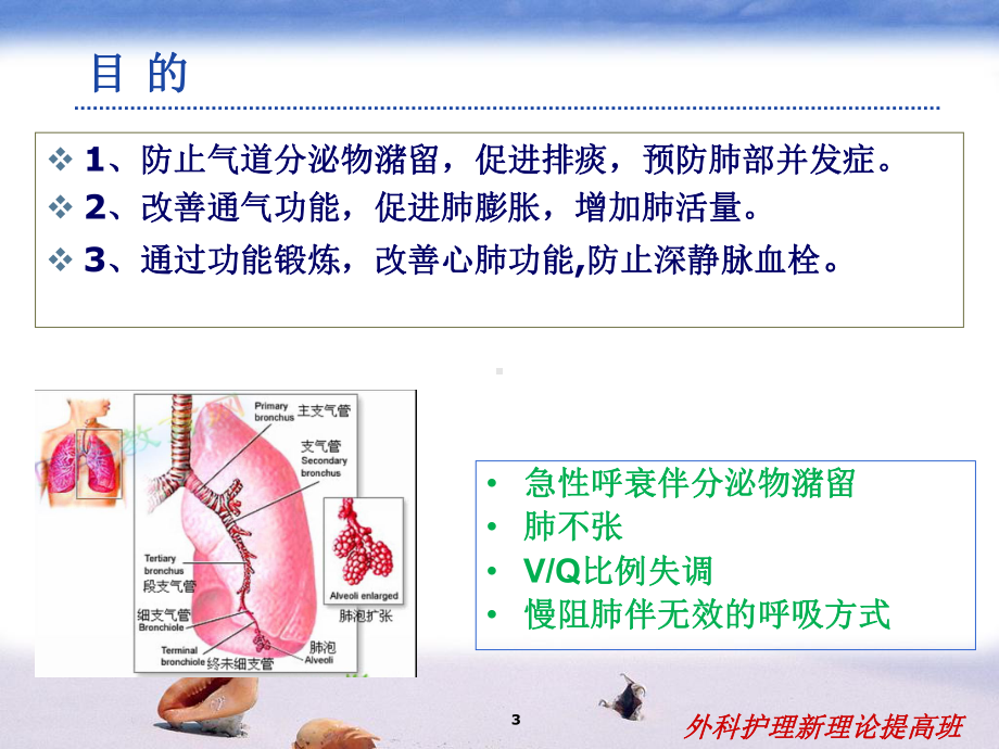 胸部物理治疗教学课件.ppt_第3页