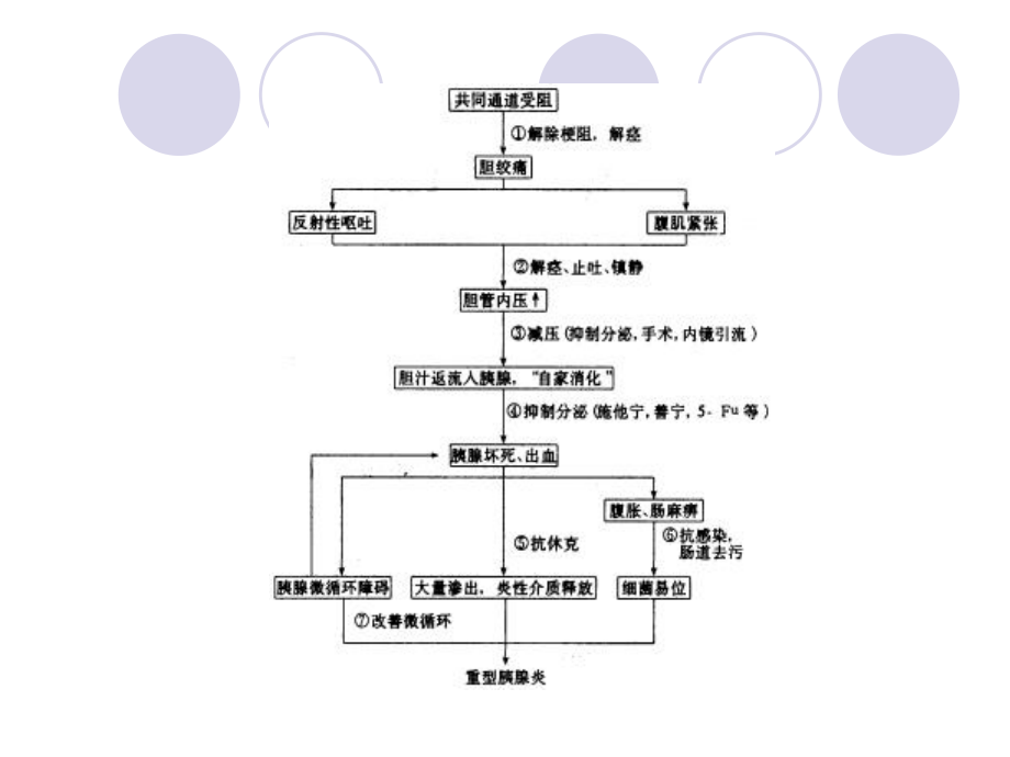 重症胰腺炎并发ards汇编课件.ppt_第3页