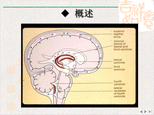 颅脑疾病病人的护理新版课件.pptx