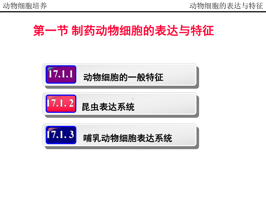 动物细胞培养制药工艺课件.pptx_第1页