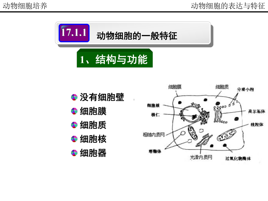 动物细胞培养制药工艺课件.pptx_第2页