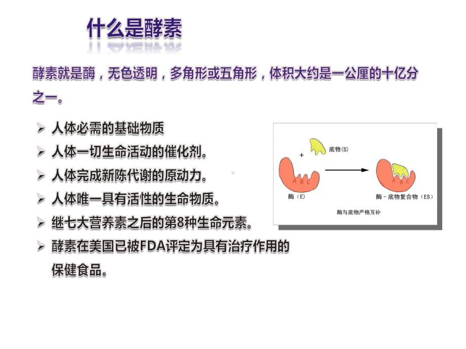 酵素产品讲解课件.ppt_第3页